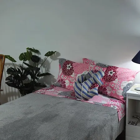 Via Roma 55 Appartement
